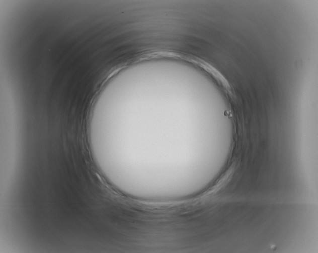 X0000113750785200910071105