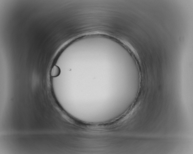 X0000113750789200910071105