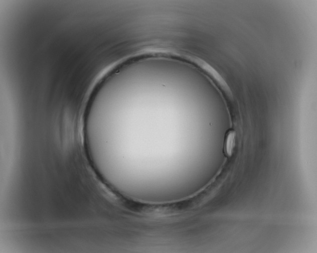 X0000113750791200910071105