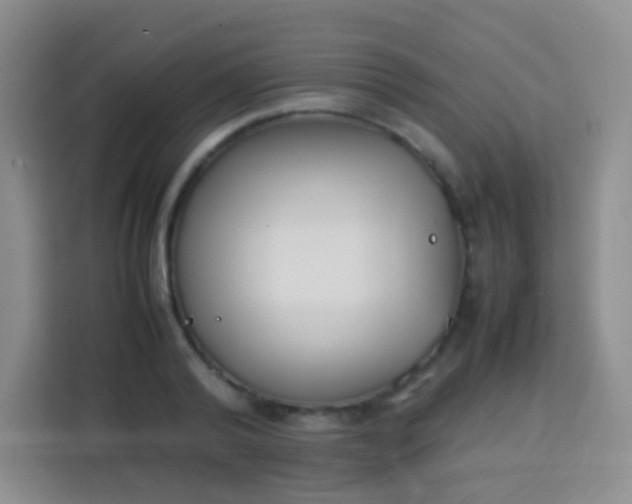 X0000113750792200910071105