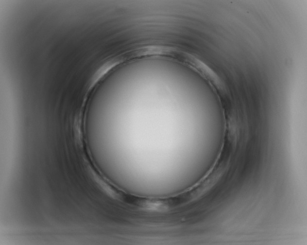 X0000113750794200910071105