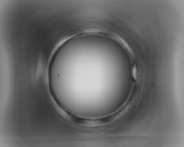 X0000113750795200910071105