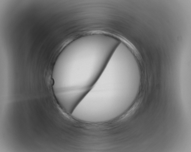 X0000113750801200910071105