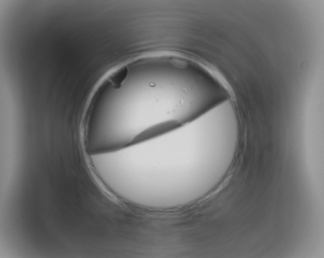 X0000113750805200910071105