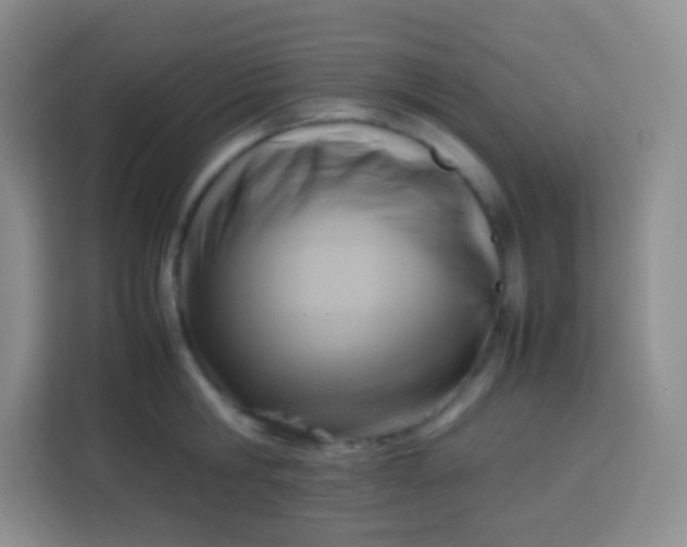 X0000113750806200910071105