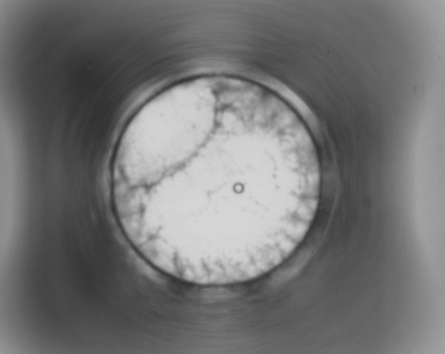 X0000113750807200910071105