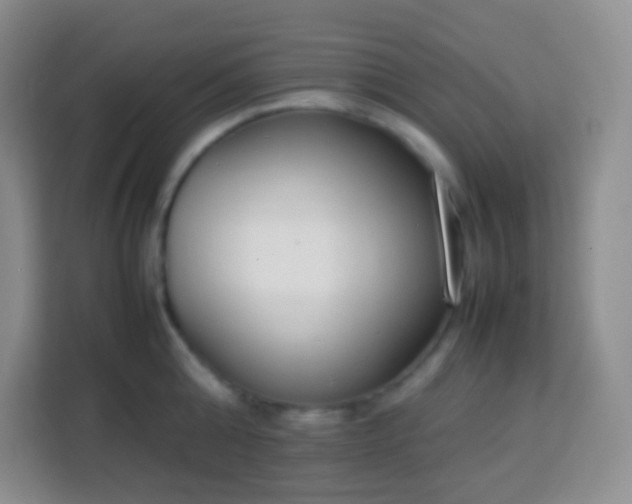 X0000113750808200910071105