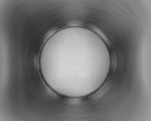 X0000113750810200910071105