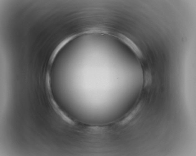 X0000113750812200910071105