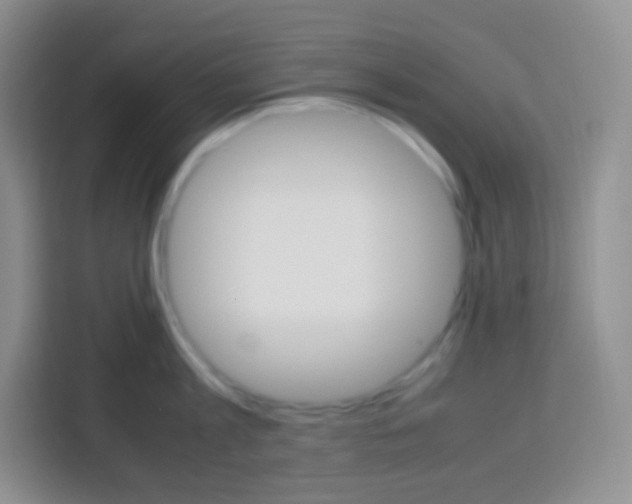 X0000113750813200910071105