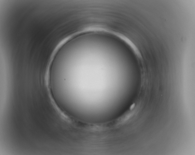 X0000113750815200910071105