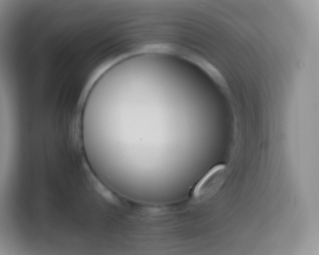 X0000113750816200910071105