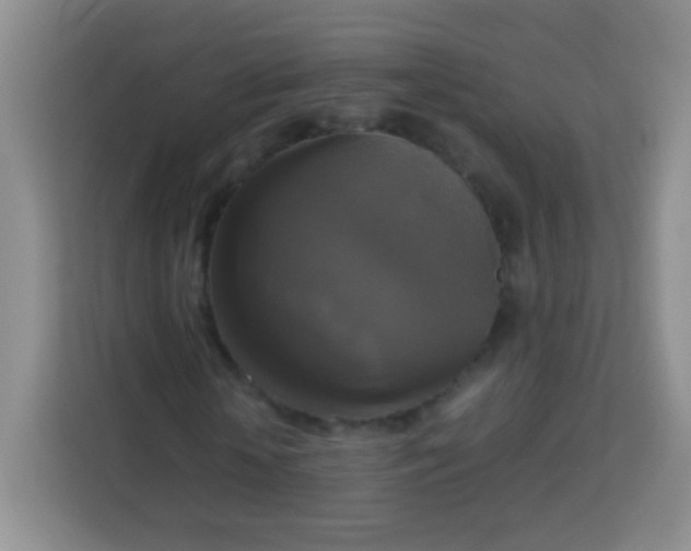 X0000113750818200910071104