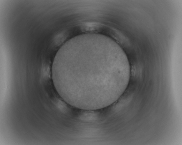 X0000113750820200910071104