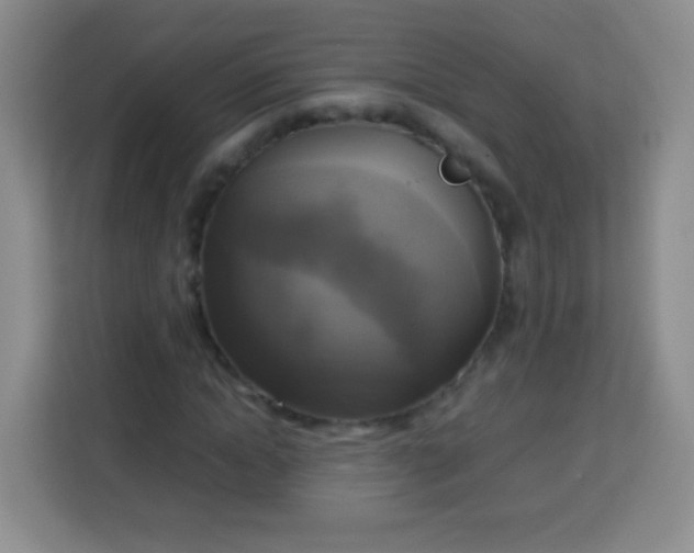 X0000113750822200910071104