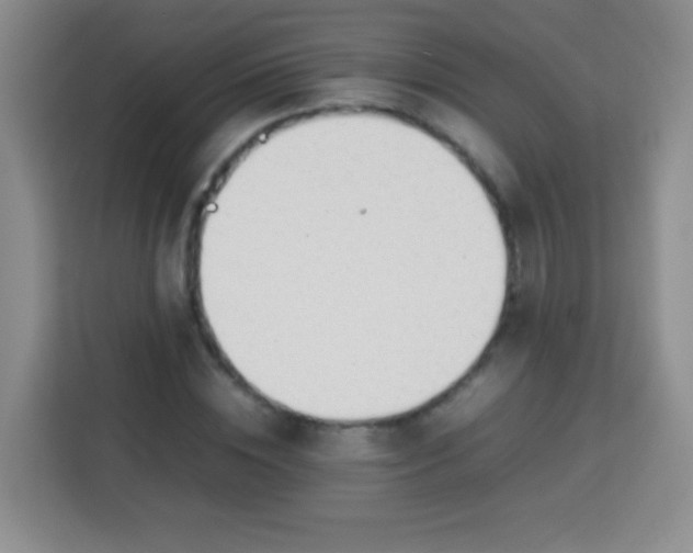 X0000113750828200910071104