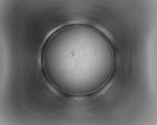 X0000113750830200910071104