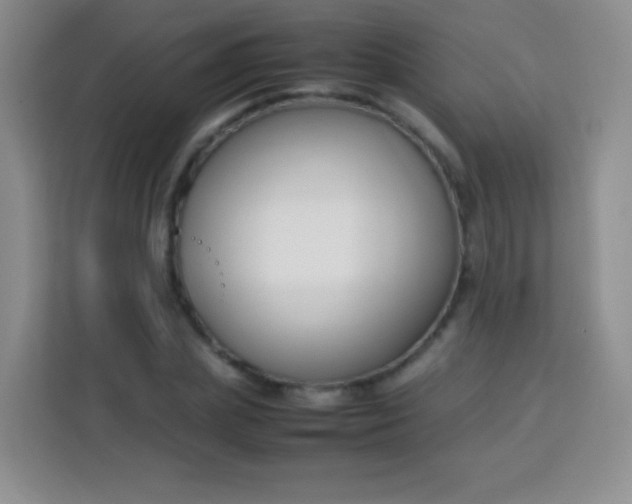 X0000113750831200910071104