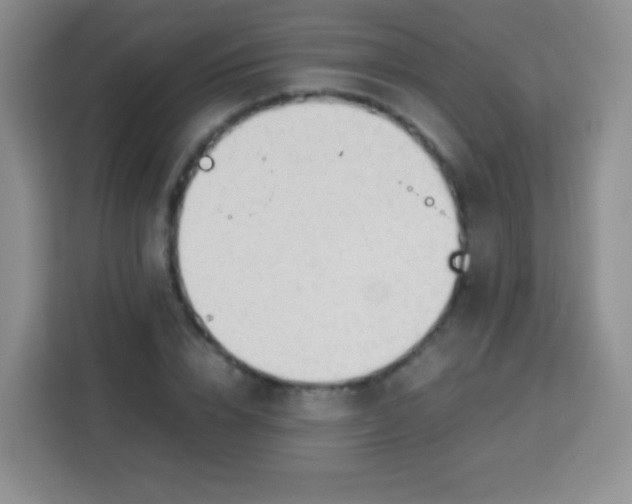 X0000113750832200910071104