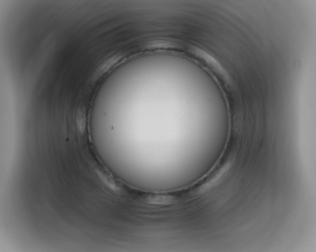 X0000113750833200910071104