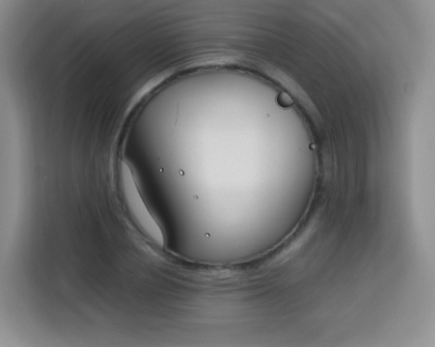 X0000113750834200910071104