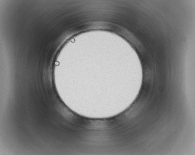 X0000113750836200910071104