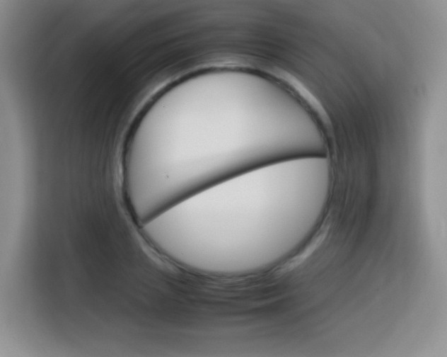 X0000113750837200910071104