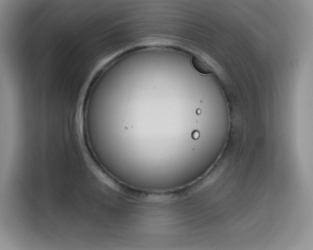 X0000113750840200910071104