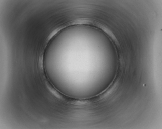 X0000113750842200910071104