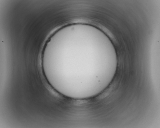 X0000113750848200910071104