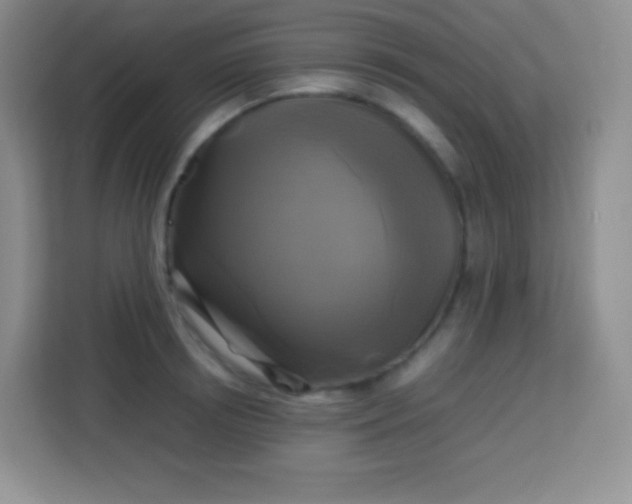 X0000113750850200910071104