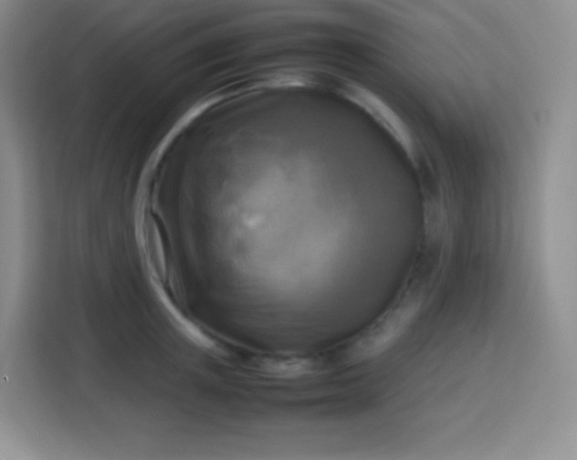 X0000113750851200910071104