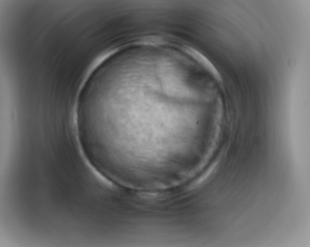 X0000113750855200910071104