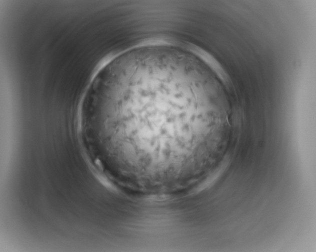 X0000113750858200910071105