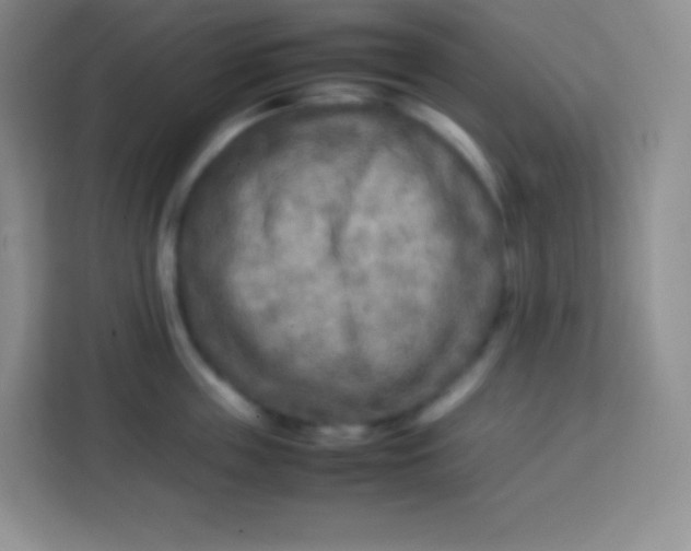 X0000113750859200910071105