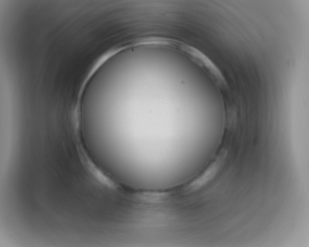 X0000113750860200910071105