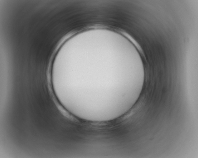 X0000113750861200910071105