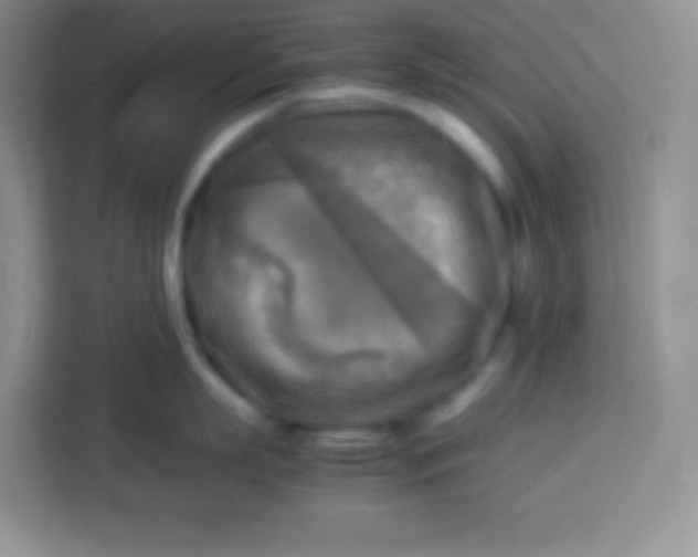 X0000113750863200910071105