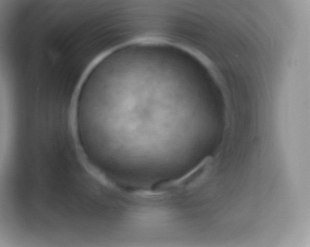 X0000113750864200910071105