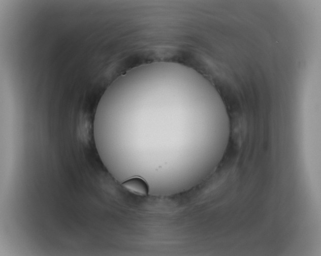 X0000113750866200910071104