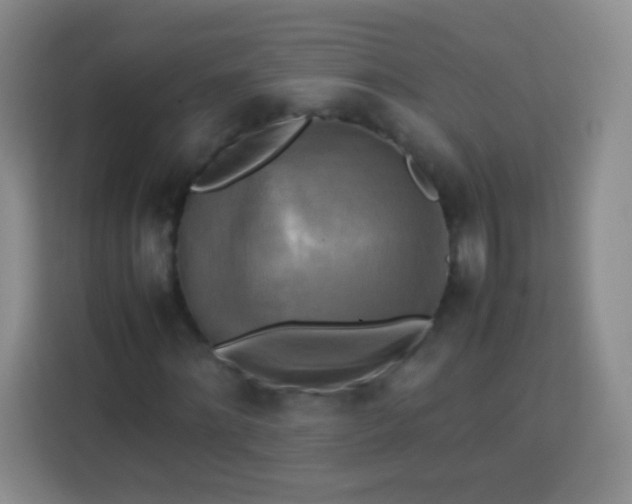 X0000113750868200910071104