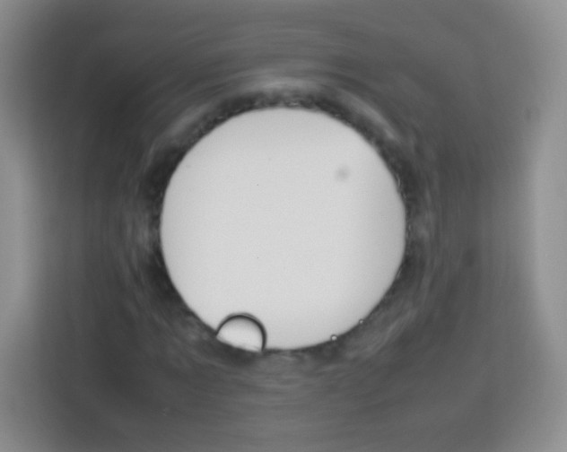 X0000113750869200910071104