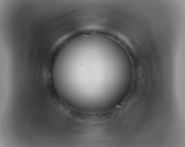 X0000113750872200910071104