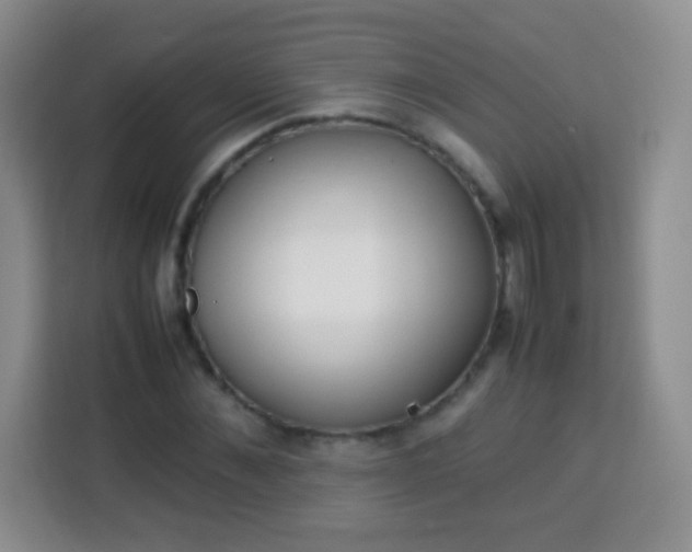 X0000113750876200910071104