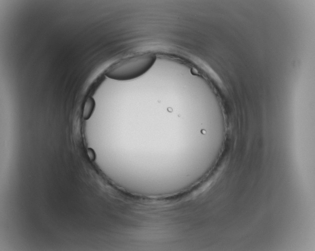 X0000113750877200910071104