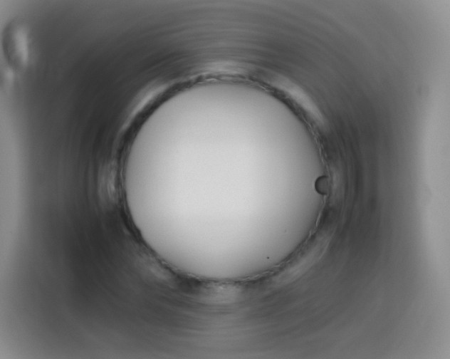 X0000113750878200910071104