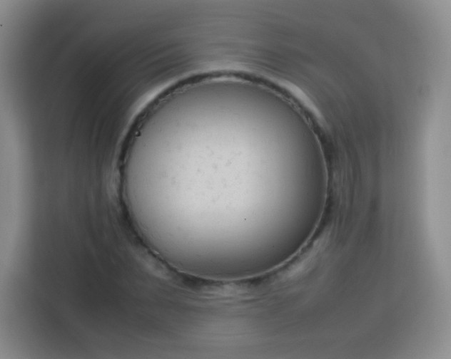 X0000113750879200910071104