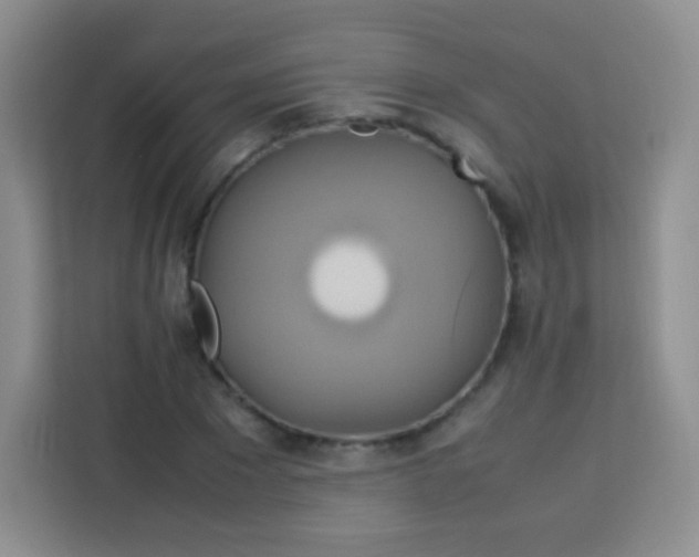 X0000113750881200910071104