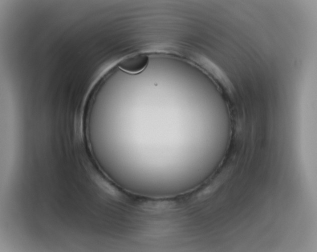 X0000113750884200910071104