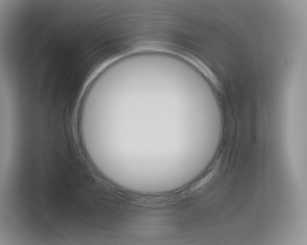 X0000113750885200910071104